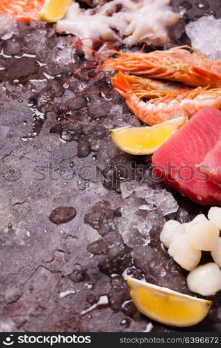 Seafood on the ice, border top view with empty space for text. Seafood on the ice