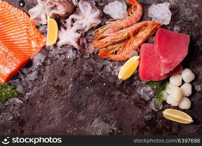 Seafood on the ice, border top view with empty space for text. Seafood on the ice