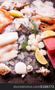 Seafood on the ice, top view on the brown stone background. Seafood on the ice