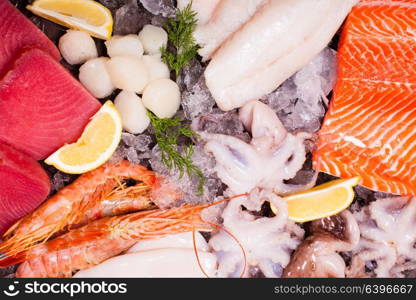 Seafood on the ice, top view on the brown stone background. Seafood on the ice