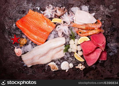 Seafood on the ice, top view on the brown stone background. Seafood on the ice