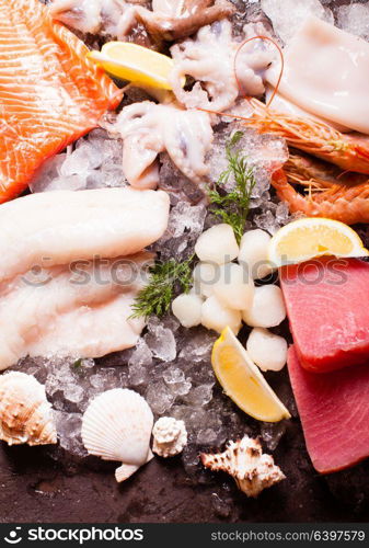 Seafood on the ice, top view on the brown stone background. Seafood on the ice