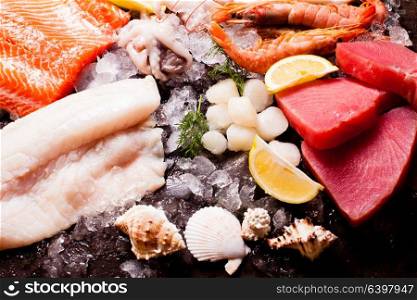 Seafood on the ice, top view on the brown stone background. Seafood on the ice