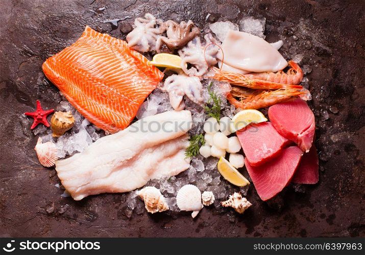Seafood on the ice, top view on the brown stone background. Seafood on the ice