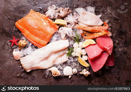 Seafood on the ice, top view on the brown stone background. Seafood on the ice