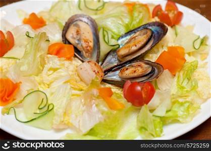 Seafood salad at plate closeup photo