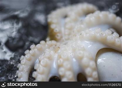Seafood squid on ice / Close up Fresh Octopus Tentacle ocean gourmet raw squid with ice on dark background in the restaurant