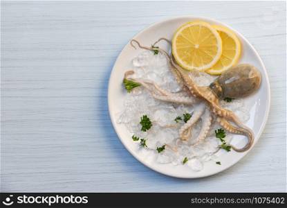 Seafood squid plate ocean gourmet fresh octopus on ice lemon parsley on white plate table background top view