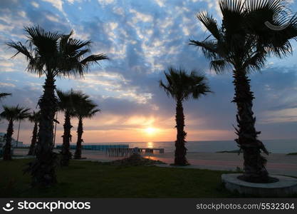 Seafront of Batumi with palm tree silhouettes&#xA;