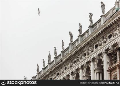 Seagull fly above sculpture at Venice library,Italy.