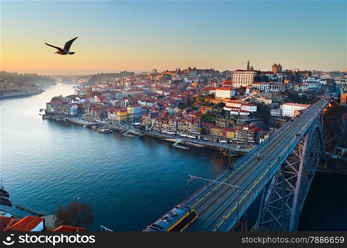 Seagull flying in the sky over Porto city, Portugal
