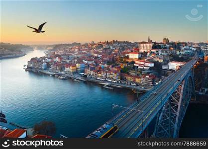 Seagull flying in the sky over Porto city, Portugal