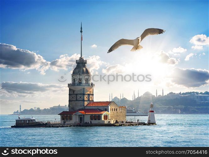 Seagull flying near Maiden&rsquo;s Tower in Istanbul at day, Turkey