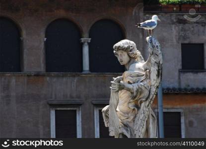 Seagull on angel on the Bridge of San Angelo, Vatican City, Rome, Italy