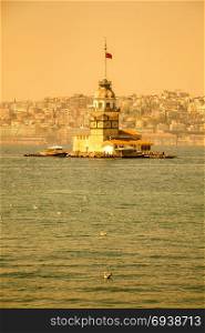 Seagulls and Maidens Tower located in Istanbul