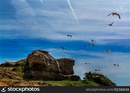 seagulls flying above a small rock formation
