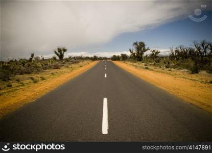 Sealed road in the desert