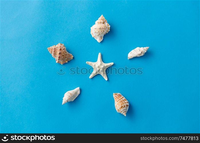 sealife and summer concept - different sea shells on blue background. different sea shells on blue background