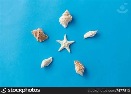 sealife and summer concept - different sea shells on blue background. different sea shells on blue background