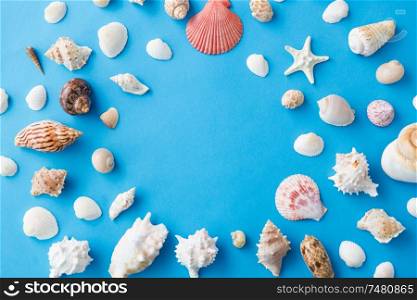 sealife and summer concept - frame of different sea shells on blue background. frame of different sea shells on blue background