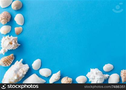 sealife and summer concept - frame of different sea shells on blue background. frame of different sea shells on blue background