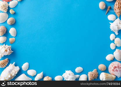 sealife and summer concept - frame of different sea shells on blue background. frame of different sea shells on blue background