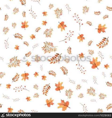 Seamless autumn leaves background, berries on white isolated background. Watercolor illustration.. Seamless autumn leaves background, berries on white isolated background. Watercolor illustration