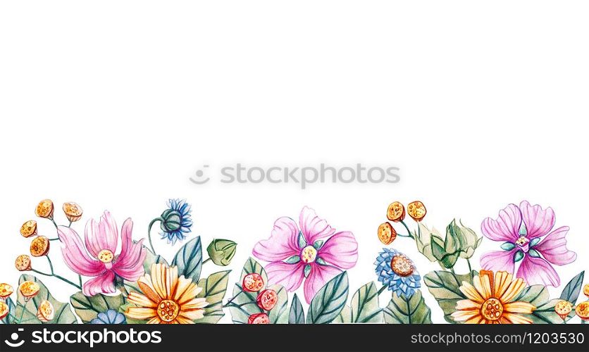 Seamless horizontal pattern of wildflowers. Watercolor border with daisies, tansy, cornflowers, chamomile and mallow. Template for text, greeting cards, fabrics, wedding invitations and scrapbooking.. Seamless horizontal pattern of wildflowers.
