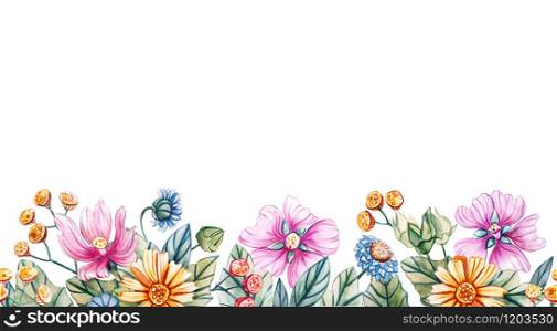 Seamless horizontal pattern of wildflowers. Watercolor border with daisies, tansy, cornflowers, chamomile and mallow. Template for text, greeting cards, fabrics, wedding invitations and scrapbooking.. Seamless horizontal pattern of wildflowers.