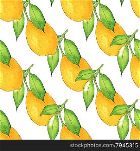 Seamless Lemon tree branch, watercolor painting on white background, vector illustration