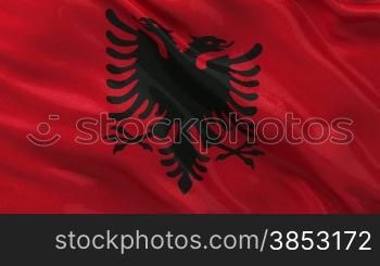 Seamless loop of the Albanian flag gently waving in the wind. High quality, glossy fabric material.