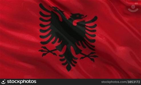 Seamless loop of the Albanian flag gently waving in the wind. High quality, glossy fabric material.