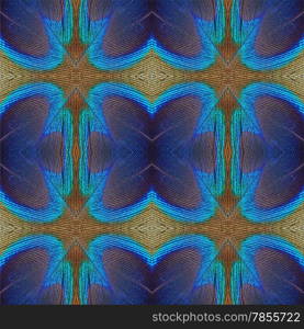 Seamless pattern made from green Peacock feather texture background