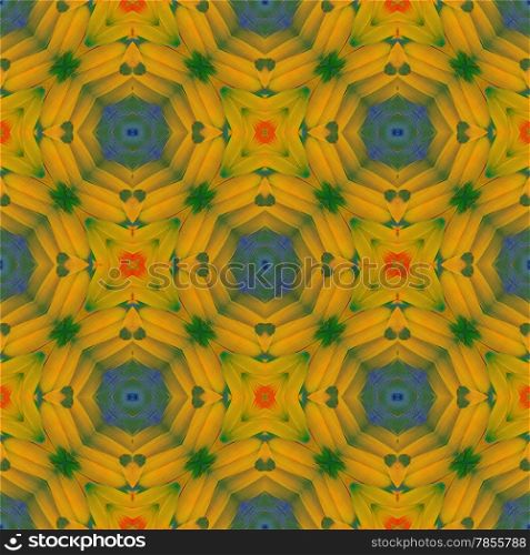 Seamless pattern made from Scarlet Macaw feathers texture background