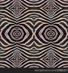 Seamless pattern made from skin of Common Zebra, Burchell&rsquo;s Zebra