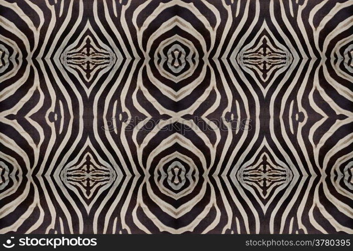 Seamless pattern made from skin of Common Zebra, Burchell&rsquo;s Zebra