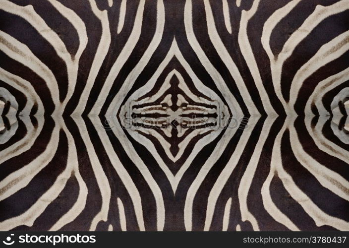 Seamless pattern made from skin of Common Zebra, Burchell&rsquo;s Zebra