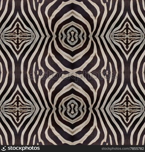 Seamless pattern made from skin of Common Zebra, Burchell&rsquo;s Zebra