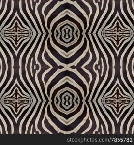 Seamless pattern made from skin of Common Zebra, Burchell&rsquo;s Zebra