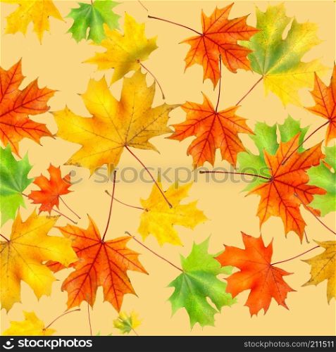 seamless pattern of colorful background made of fallen autumn leaves. Colorful background made of fallen autumn leaves