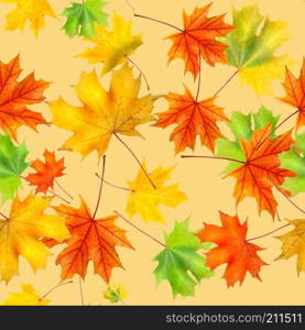 seamless pattern of colorful background made of fallen autumn leaves. Colorful background made of fallen autumn leaves