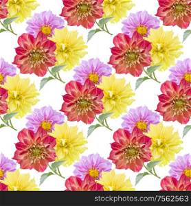 seamless pattern of dahlia flowers on white background