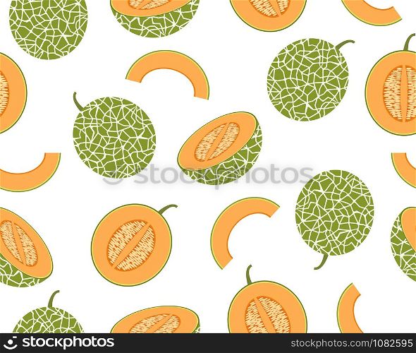 Seamless pattern of fresh cantaloupe melon isolated on white background - Vector illustration