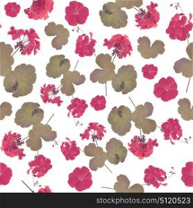 seamless pattern of geranium flowers . Endless texture for your design.. seamless pattern of geranium flowers