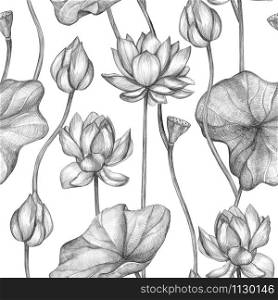 Seamless pattern of monochrome pencil botanical sketches of flowers. Hand-drawn lotus on white background. Vintage style. Botanical wallpaper. For wrapping paper, fabric, postcards, posters, etc.