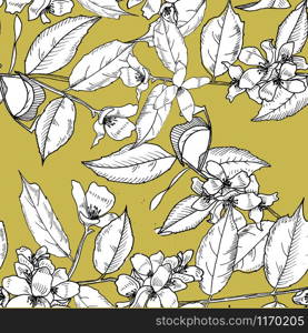 Seamless pattern with branch of sakura.