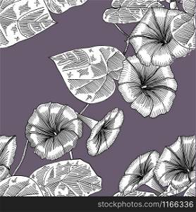 Seamless pattern with morning glory. Hand drawn. Graphics.