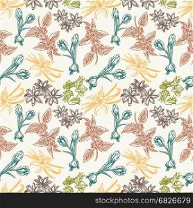 Seamless pattern with spice herbs. Colorful vintage seamless pattern with hand drawn spice herbs, vector illustration