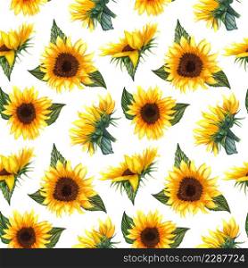 Seamless pattern with sunflowers on white background. Collection decorative floral design elements. Flowers, buds and leaf hand drawn with watercolor.