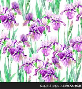 Seamless pattern with watercolor flowers. Hand drawn illustration.. Summer meadow iris flowers watercolor seamless pattern on white background